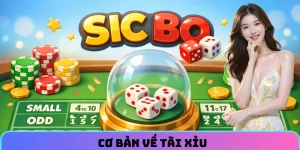 Cơ bản về tài xỉu