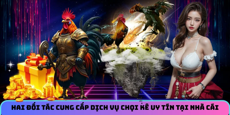 Hai đối tác cung cấp dịch vụ chọi kê uy tín tại nhà cái