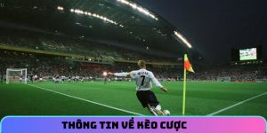 Thông tin về kèo cược
