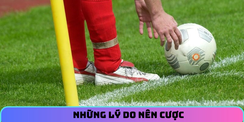 Những lý do nên cược